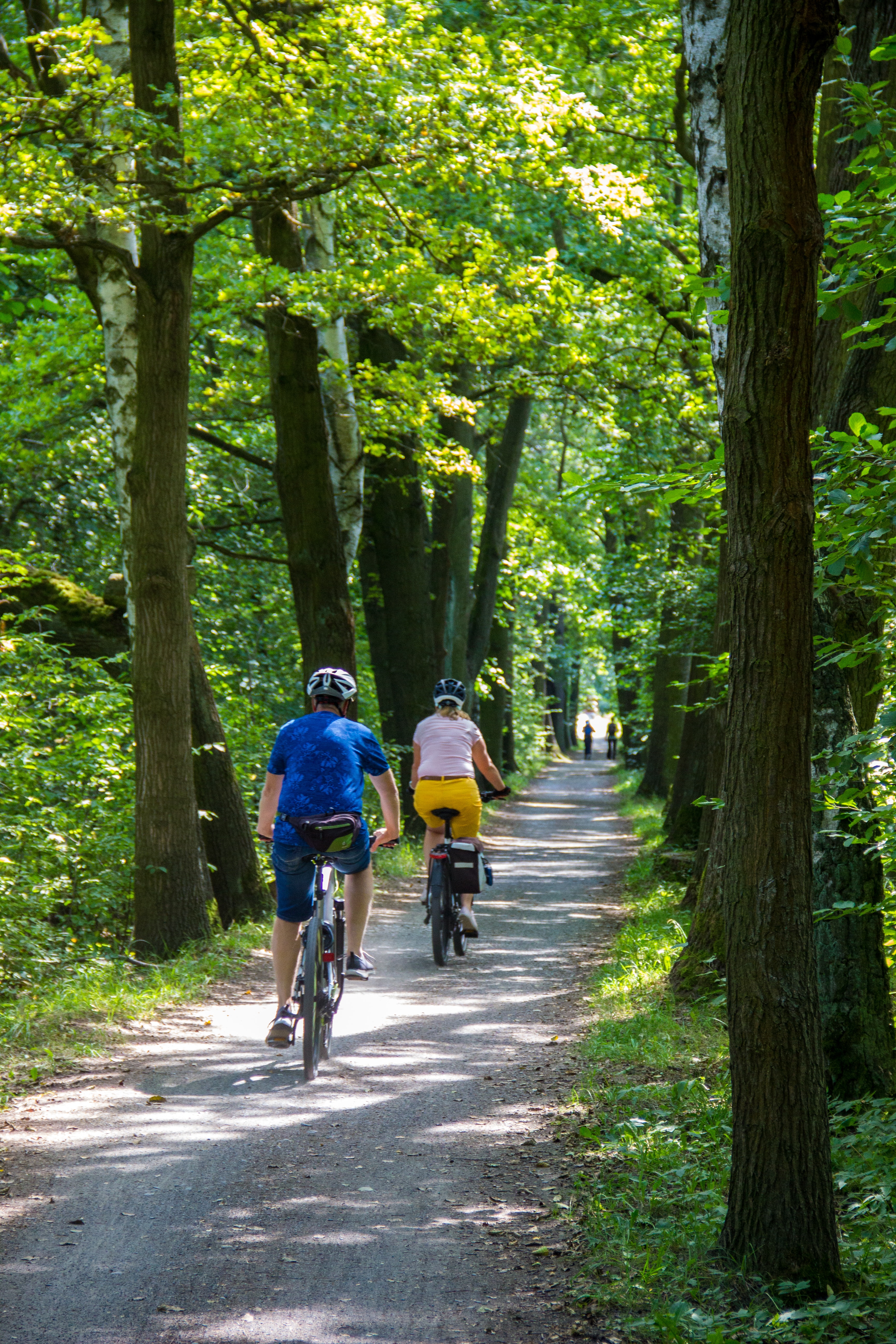 Photo of bikers by Phillippe Oursel via Unsplash